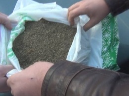 Житель области пытался увезти в Россию "травку" с запахом кофе