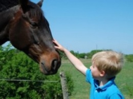 На ипподроме в Башкирии на 7-летнего мальчика упал забор