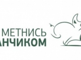 Пришел, увидел и... сделал: как Кабанчик помогает жителям Николаева экономить на быте