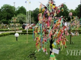 Пятьдесят Пасхальных деревьев украсили в центре Ужгорода к праздникам