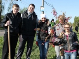 В Славянске работники горсовета высадили "райскую" аллею