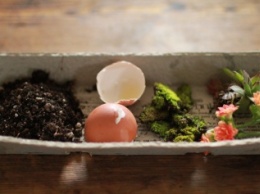 Пасхальный декор: цветущие пасхальные яйца