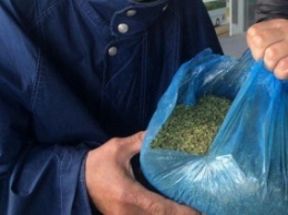 В Днепродзержинске на автовокзале у мужчины изъяли 2 кг «травки»