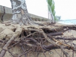 В Мариуполе исчезла часть городского пляжа (ФОТО)