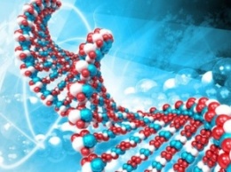 ДНК - друг человечества и "враг" не очень верных супругов