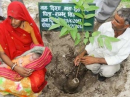 Когда эта юная девушка умерла, отец решил посадить 111 деревьев. Он и не подозревал, как это изменит его деревню