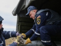 Пиротехники разминируют территорию вокруг макеевского поселка Коммунар