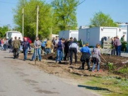 На Днепропетровщине в модульном городке для переселенцев высадили долгожданную зеленую зону