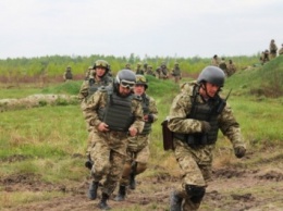 В этом году на боевую подготовку и оборудование предусмотрено почти 2 млрд грн - С.Полторак