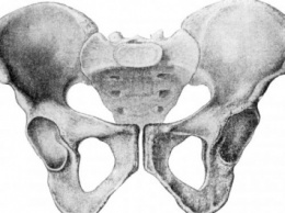 Женский таз "подсказал" лучший возраст для рождения ребенка