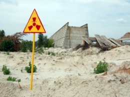 Порошенко решил создать в Чернобыльской зоне "радиационно-экологический" заповедник