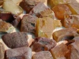 Организованную группу будут судить за добычу янтаря в Житомирской области