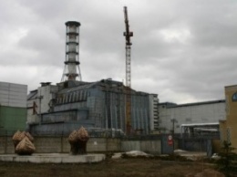 В Украине появиться Чернобыльский заповедник
