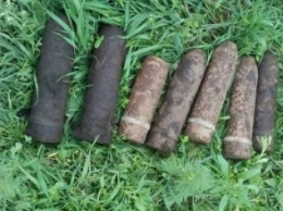 На Николаевщине уничтожили 7 артиллерийских снарядов