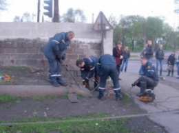 В Запорожье новые полицейские, волонтеры и "Кобра" спасли щенков, которые застряли в трубе (ФОТО)