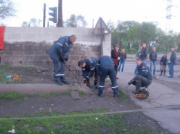 Запорожцы с полицейскими и бойцами "Кобры" провели многочасовую операцию по спасению щенков (Фото)