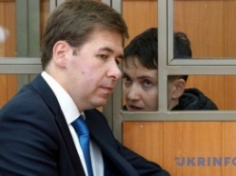 Новиков о документах на экстрадицию Савченко: Похоже на правду