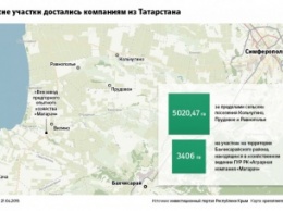Татары получат в аренду четверть виноградников Крыма