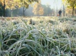 В Крыму на выходных ожидаются заморозки