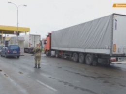В Волынской области СБУ изъяла янтаря на 1 млн грн (ВИДЕО)