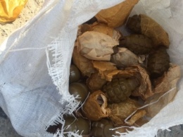 Под Одессой обнаружили тайник с десятками гранат
