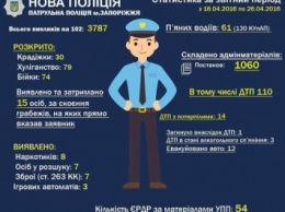 Запорожская полиция подвела итоги работы в цифрах