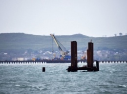 Строительство в оккупированном Крыму Керченского моста губительно для дельфинов Черного моря