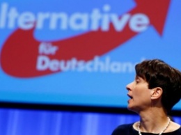 Партия "Альтернатива для Германии" одобрила антиисламский курс