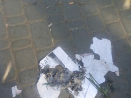 Одесситы возле Куликова поля сожгли портрет Парубия