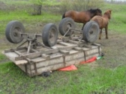 В Житомирской области перевернулась гужевая повозка: 3 погибших, 1 ранен