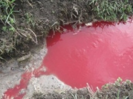 Полиция выяснила, откуда кровь в реке на Тернопольщине