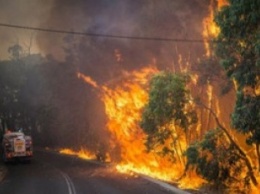 В Канаде эвакуируют людей из-за лесных пожаров