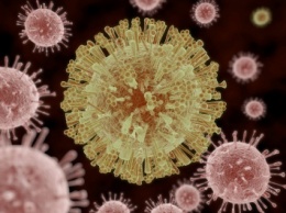 Вирус Зика - один из самых опасных вирусов в мире