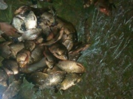 На Днепродзержинском водохранилище задержали браконьера с 62 кг рыбы