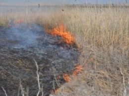 На Николаевщине существует высокая пожарная опасность