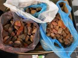 С начала года пограничники изъяли 410 кг янтаря, который пытались вывезти