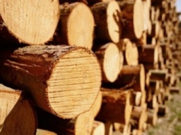 Украина урегулирует вопрос экспорта древесины в соответствии с требованиями ВТО и ЕС