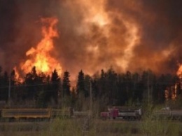 В Канаде площадь лесных пожаров увеличилась в десять раз
