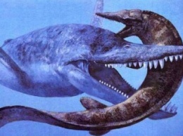 В Антарктиде обнаружены тонны окаменелостей динозавров
