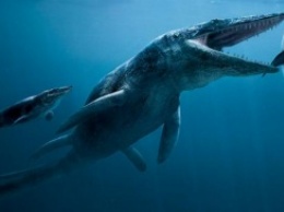 Уникальная находка: в Антарктиде ученые обнаружили останки динозавров, которым более 70 млн лет