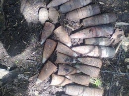 Аграрии нашли устаревшие боеприпасы времен прошлых войн в Запорожской области