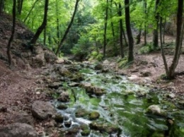 В Крыму ограничили передвижение туристов из-за клещей