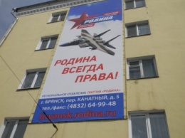 Российская партия «Родина» повесила патриотический плакат с американским истребителем (фото, видео)