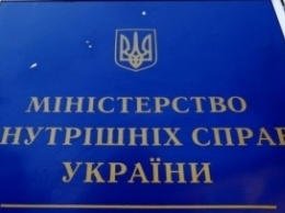 МВД не получало документов об аресте Ставицкого в Израиле