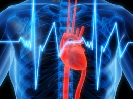 Мозг способен подавлять звук сердцебиения-ученые
