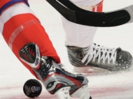 Херсонские хоккеисты привезли медали с Беларуси