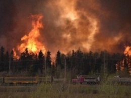 Сильный лесной пожар практически полностью уничтожил город в Канаде