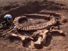 В Китае нашли останки первого морского динозавра-вегетарианца