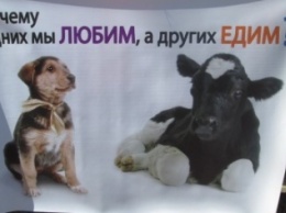 В Одессе прошел марш за вегетарианство (ФОТО, ВИДЕО)