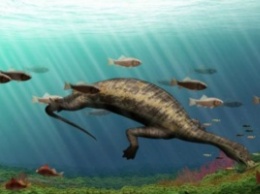 Обнаружен первый морской динозавр-вегетарианец, размером с крупного современного крокодила, обитавший около 245 млн лет назад
